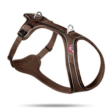 Cargar imagen en el visor de la galería, Ajustable en ambos lados, forrado con Air-mesh y con pequeños agujeros para garantizar estabilidad durante los paseos. Además, cuenta con asa de neopreno, enganches de seguridad y banda reflectante para una seguridad ref
