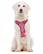 Cargar imagen en el visor de la galería, Arnés Trail para perros grandes y fuertes con diseño Dogtella-Arnés resistente para paseos salvajes con cierre de seguridad bloqueable-Arnés anti tirones ajustable con ribete reflectante para seguridad nocturna