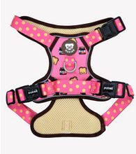 Cargar imagen en el visor de la galería, Arnés Trail para perros grandes y fuertes con diseño Dogtella-Arnés resistente para paseos salvajes con cierre de seguridad bloqueable