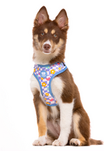 Cargar imagen en el visor de la galería, Arnés ajustable con estampado trendy-Accesorio para pasear perros cómodamente-Arnés reflectante para seguridad nocturna-Arnés ajustable para perros de todas las tallas-Moda y funcionalidad en arnes
