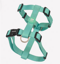 Cargar imagen en el visor de la galería, Arnes ajustable y cómodo para perros-Arnes de materiales duraderos para perros-Arnes de seguridad con cierre de 4 puntos para perros-Arnes en forma de H fácil de poner-Arnes de color menta para perros