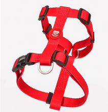 Cargar imagen en el visor de la galería, Arnesclasicoajustableparaperros-Arnescomododematerialesduraderosparaperros-Arnesconcierrede4puntosparamayorseguridad-Arnesencolorrojosolidoparaperros-ArnesdeformadeHfacildeponeryquitar