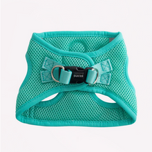 Cargar imagen en el visor de la galería, Arnes de malla transpirable para perros-Arnés fácil de poner para perros pequeños-Arnés cómodo y seguro para perros-Arnés de doble cierre con hebilla para perros-Arnés de color menta para perros