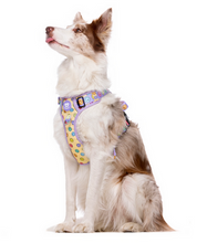 Cargar imagen en el visor de la galería, Arnés resistente para perros grandes y fuertes-Arnés anti tirones con diseño exclusivo-Arnés para perros con cierre de seguridad bloqueable-Arnés con malla transpirable y ribete reflectante-Arnés para paseos salvajes