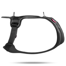 Cargar imagen en el visor de la galería, CURLI Arnés Belka Confort para perros Diseño ergonómico y ajuste cómodo Arnés para mascotas CURLI Estilo y funcionalidad en el modelo BelkaConfort