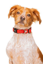 Cargar imagen en el visor de la galería, Collar de neopreno ajustable para perros-Collar súper suave con forro de neopreno-Collar de alta seguridad para perros-Collar de diseño moderno para mascotas-Collar de neopreno cómodo para perros sensibles