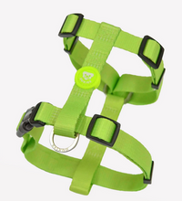 Cargar imagen en el visor de la galería, Comprar Arnes para perro ajustable amarillo neon-Arnes comodo y seguro para perros-Arnes de perro con cierre de 4 puntos-Arnes de materiales duraderos para perros