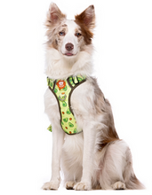Cargar imagen en el visor de la galería, Comprar arnes para perro grande dukier arnes trail-Seguridad nocturna con ribete reflectante-Asa de agarre para control de perro-Diseño exclusivo Avocado