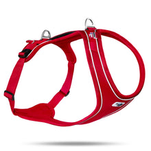 Cargar imagen en el visor de la galería, Descubre el Arnés ajustable CURLI Belka Confort Comodidad para tu perro todo el día Arnés de calidad para perros CURLI Belka Confort, resistente y duradero CURLI Belka Confort El mejor arnés para garantizar la comodida