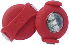 Cargar imagen en el visor de la galería, Luces LED para mascotas para enganchar en el arnés durante el paseo nocturno-Accesorio LED para collar de mascotas para aumentar su visibilidad durante el paseo-comprar luz led para el paseo de mascotas