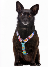 Cargar imagen en el visor de la galería, arnesclasicodelamarcadukierparaperropracticoysencillodeponer-Arnés clásico para perro con estampado de ositos de gominola-Arnés ergonómico para perros Dukier Gummy Bears-Arnés para perros con hebillas