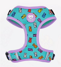 Cargar imagen en el visor de la galería, arnescomodofacilysencillodecolocarennuestroperroArnés ajustable para perro con estampado de ositos de gominola-Arnés ergonómico para perros Dukier Gummy Bears-Arnés para perros con cierre de liberación