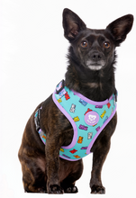 Cargar imagen en el visor de la galería, arnesdukierajustableparamascotaarnescomodofacilysencillodecolocarennuestroperroArnés ajustable para perro con estampado de ositos de gominola-Arnés ergonómico para perros Dukier Gummy Bears