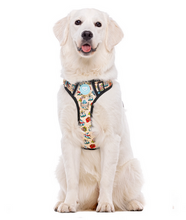 Cargar imagen en el visor de la galería, comprar arnes para perros grande con estampado-Arnés anti tirones para perros fuertes y grandes-Arnés trail para perros con materiales transpirables-Arnés ajustable para perros con cierre de seguridad