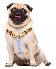 Cargar imagen en el visor de la galería, dukier arnes chuches clasico para perros- arnes facil de poner y quitar- arnes en H estampado para mascotas