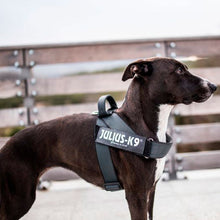 Cargar imagen en el visor de la galería, Julius K9 Arnés Cinta NEGRO