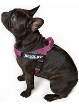Cargar imagen en el visor de la galería, Julius K9 Arnés Cinta ROSA