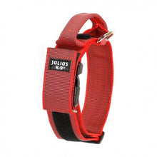 Cargar imagen en el visor de la galería, Julius K9 Collar con Asa ROJO