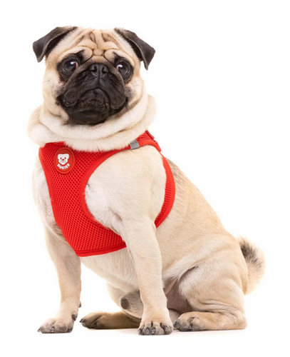 Arnés de malla transpirable para perros pequeños-Arnés fácil de poner para perros con cierre de hebilla-Arnés cómodo y ajustable para paseos-Arnés de color rojo para perros activos-Arnés con velcro y cierre tipo clic