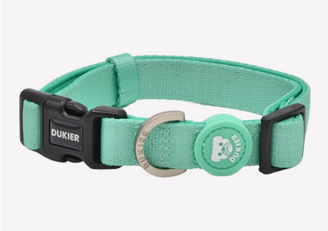 Comprar Collar de perro ajustable con neopreno-Collar cómodo y seguro para perros-Collar de neopreno para perros sensibles-Collar de maxima seguridad para perros-Collar de diseño guay en color menta