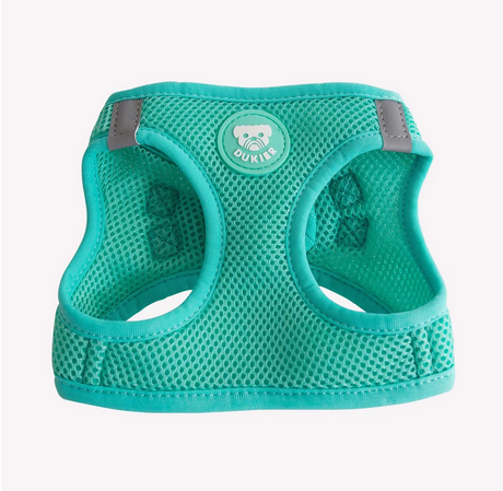 Comprar arnes de malla transpirable para perros-Arnés fácil de poner para perros pequeños-Arnés cómodo y seguro para perros-Arnés de doble cierre con hebilla para perros-Arnés de color menta