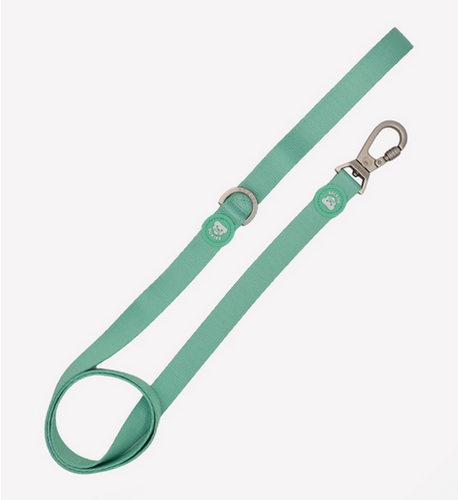 Correa de perro con mosquetón de doble cierre-Correa resistente para perros grandes-Correa de neopreno acolchado para perros-Correa segura y cómoda para perros-Correa de diseño moderno en color menta