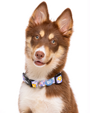 Cargar imagen en el visor de la galería, Dukier Chess Board-Collar de neopreno para perros-Accesorio ajustable y seguro para paseos-Collar con diseño guay para mascotas-Comodidad y estilo en collares para perros
