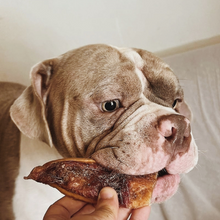 Cargar imagen en el visor de la galería, Caja mensual de golosinas caninas naturales sin aditivos.Delicias saludables y nutritivas para premiar a tu perro.Mejores opciones de snacks naturales para perros felices y activos.Caja de premios perrunos.
