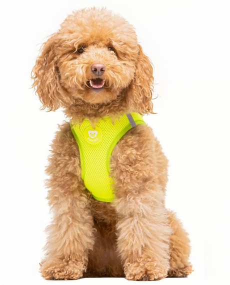 arnes transpirable para perros pequeños y grandes-arnes amarillo neon para perros con cierre seguro-arnes facil de poner para mascotas activas-arnes con malla transpirable para perros-arnes de alta visibilidad