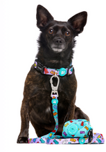 Cargar imagen en el visor de la galería, correadukierparamascotasCorrea ajustable para perro con estampado de ositos de gominolaCorrea de perro con diseño divertido Dukier Gummy BearsCorrea para perros con mosquetón resistente
