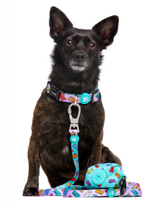 correadukierparamascotasCorrea ajustable para perro con estampado de ositos de gominolaCorrea de perro con diseño divertido Dukier Gummy BearsCorrea para perros con mosquetón resistente